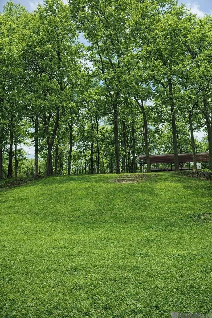 3797 Parhams Rd, Jonesville, LA 71343 - Image #2