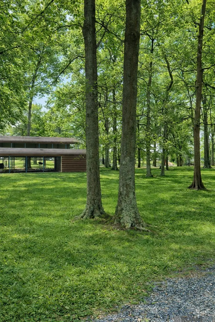 3797 Parhams Rd, Jonesville, LA 71343 - Image #3