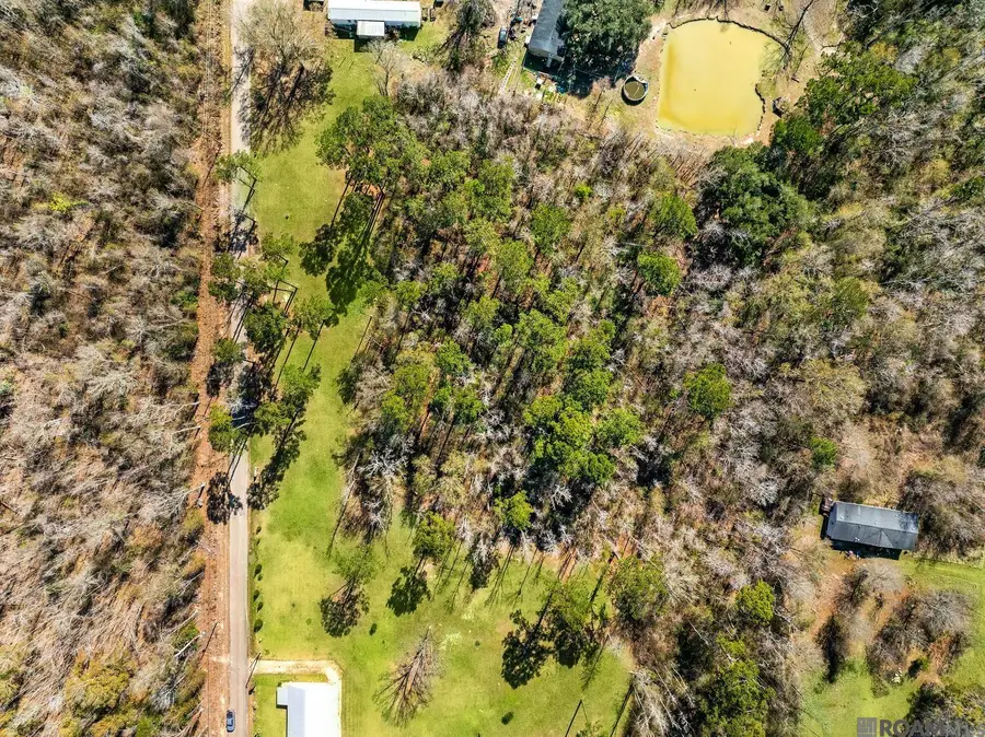 TBD Carthage Bluff Rd, Springfield, LA 70462 - Image #3