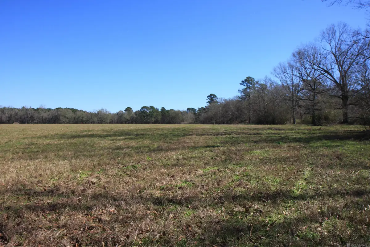 TBD Lot 8 Cook Rd, Slaughter, LA 70777 - #1