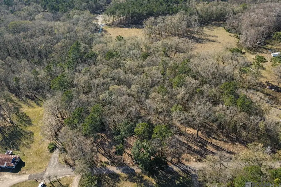 Tract A Picou Rd, Maurepas, LA 70449 - #2