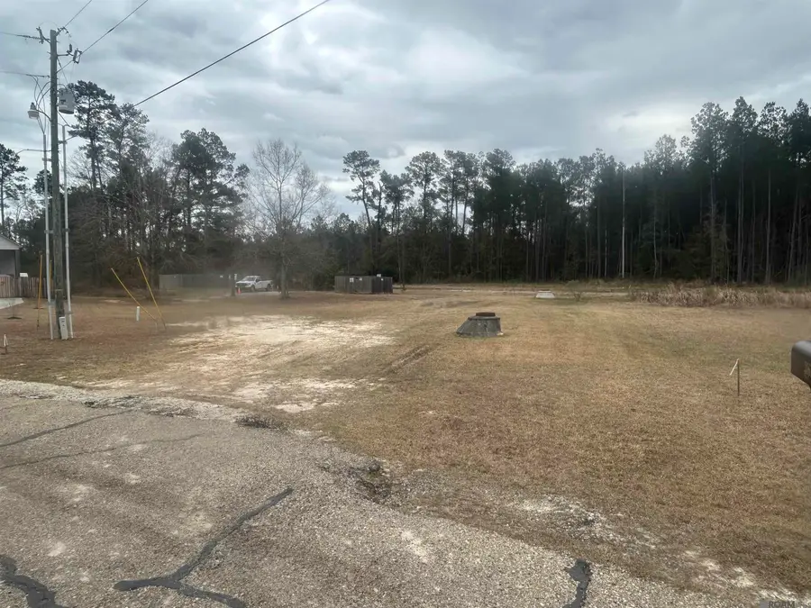 31618 Ferina Ln, Albany, LA 70711 - Image #2