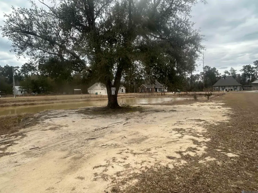 31618 Ferina Ln, Albany, LA 70711 - Image #3