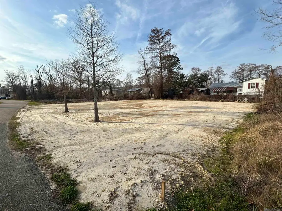 22239 Chinquapin Ave, Maurepas, LA 70449 - #3