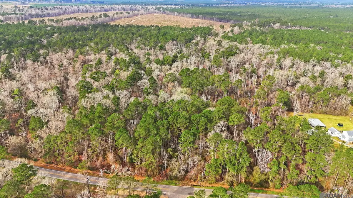 TBD Hwy 449 Highway, Pine Grove, LA 70453 - #1