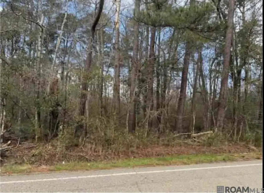 TBD Hwy 449 Highway, Pine Grove, LA 70453 - #2