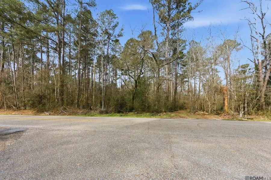 TBD Hwy 449 Highway, Pine Grove, LA 70453 - #3