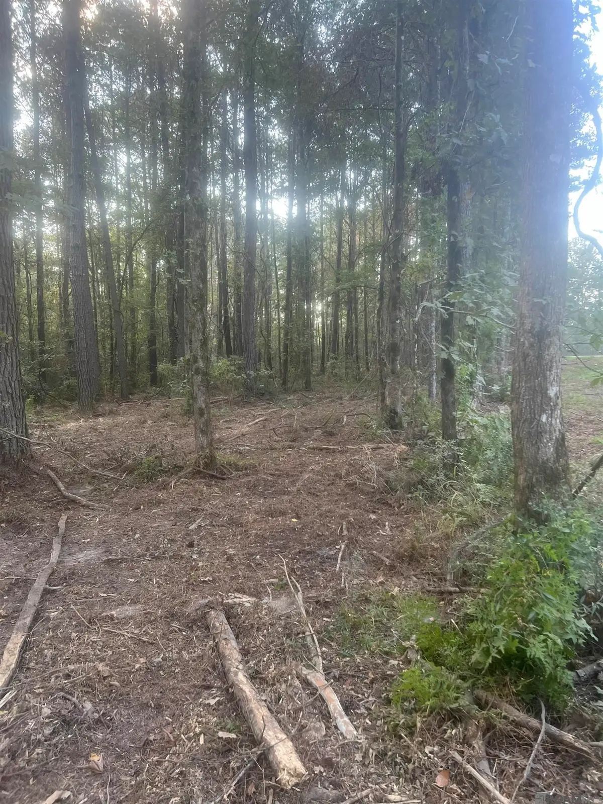 TBD-B2 La Hwy 10, Clinton, LA 70722 - #1