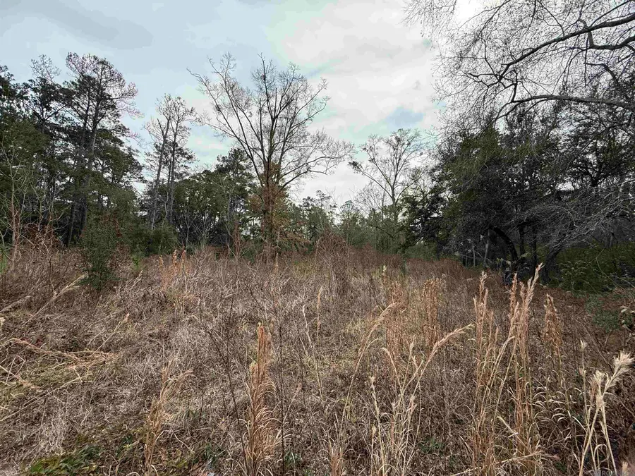 26126 Cloverland Road, Lacombe, LA 70445 - #2