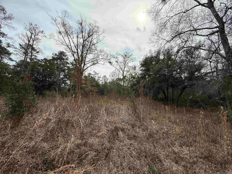 26126 Cloverland Road, Lacombe, LA 70445 - #3