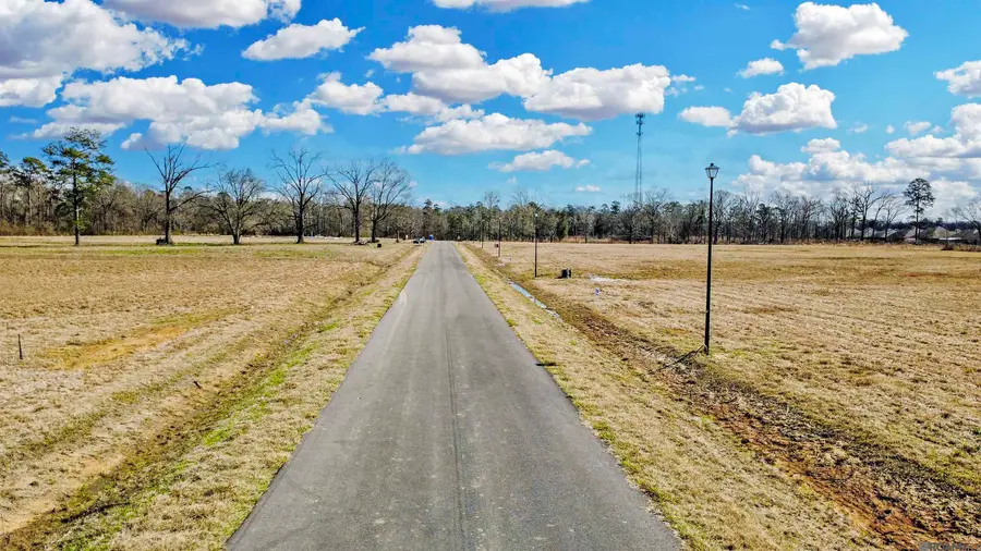 Lot 11 Grandview Drive, Denham Springs, LA 70726 - #3