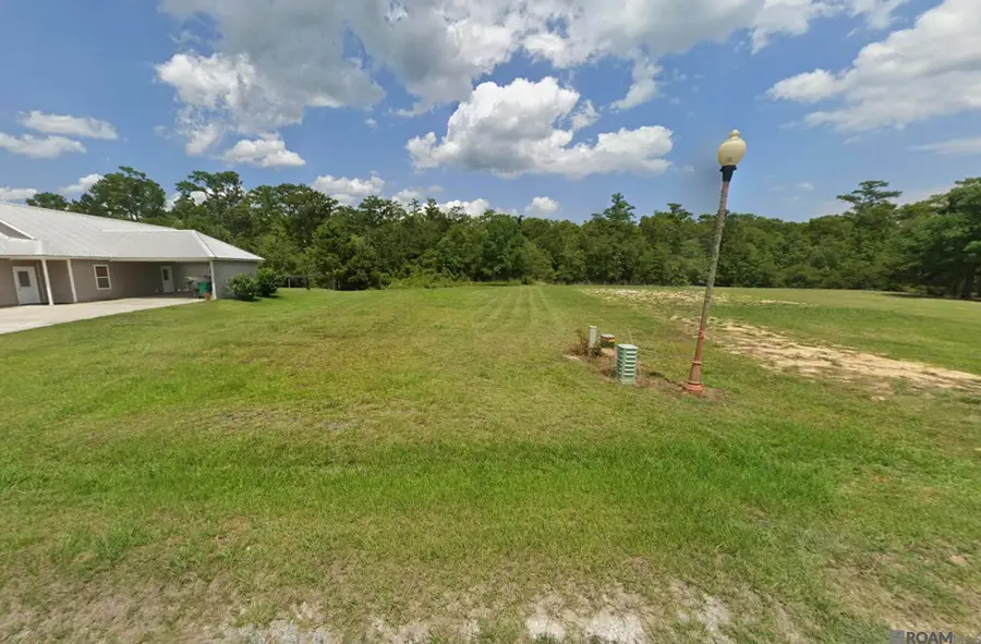 17240 Tchula Dr, Springfield, LA 70462 - #2