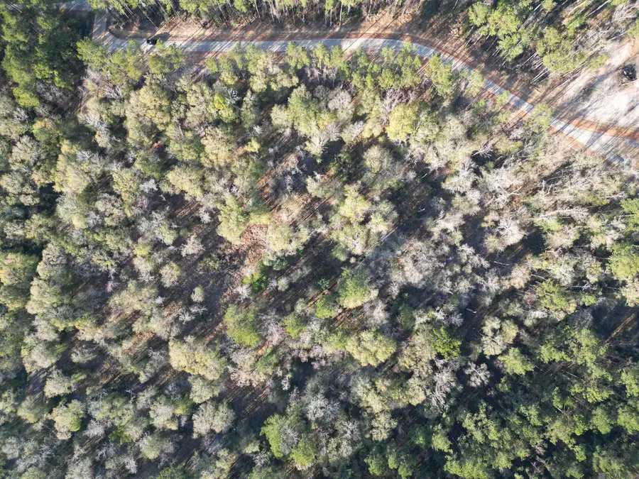 Lot 1 Livingston Farms Lane, Livingston, LA 70754 - #2