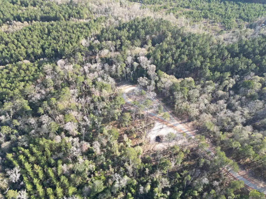 Lot 5 Livingston Farms Lane, Livingston, LA 70754 - #2