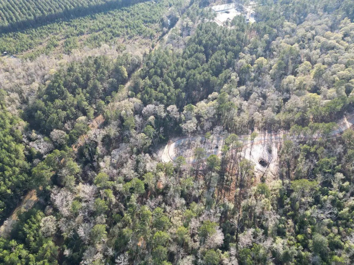 Lot 6 Livingston Farms Lane, Livingston, LA 70754 - #1