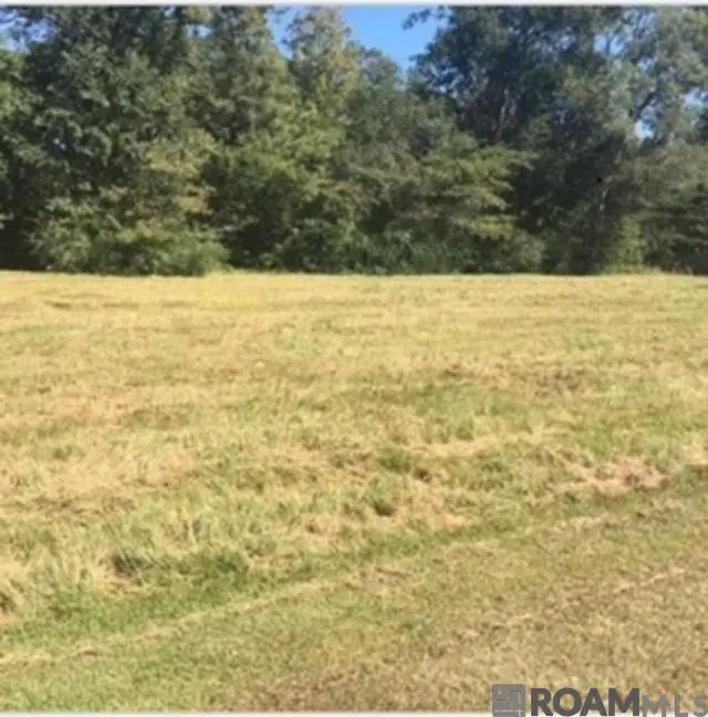 1620 Bene St, Franklinton, LA 70438 - #1