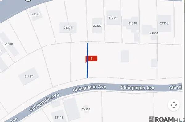 22222 Chinquapin Ave, Maurepas, LA 70449