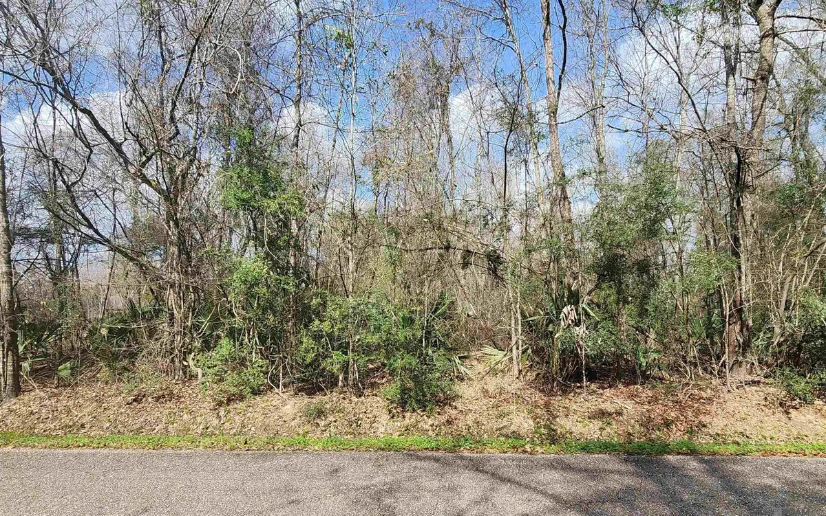Lot 23-A Hemisphere Ln, Denham Springs, LA 70726 - #1