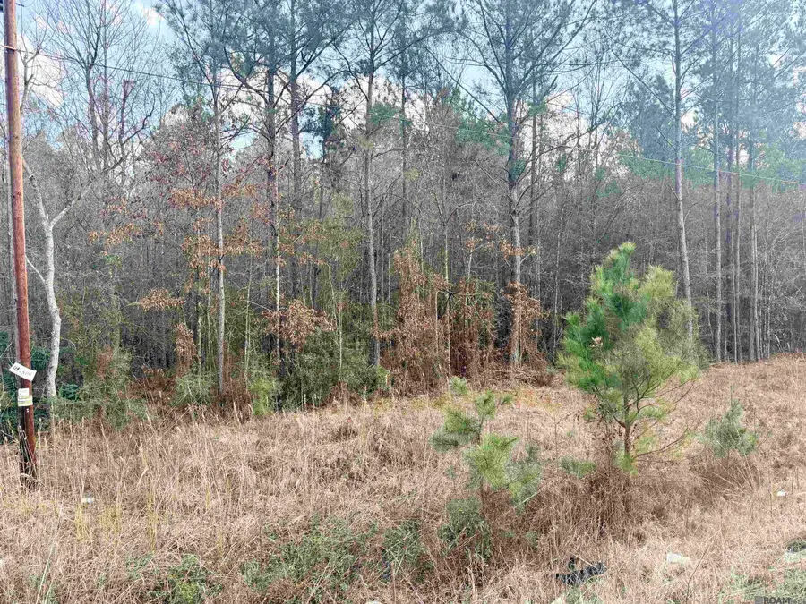 TBD Hwy 1036 Highway, Holden, LA 70744 - #2