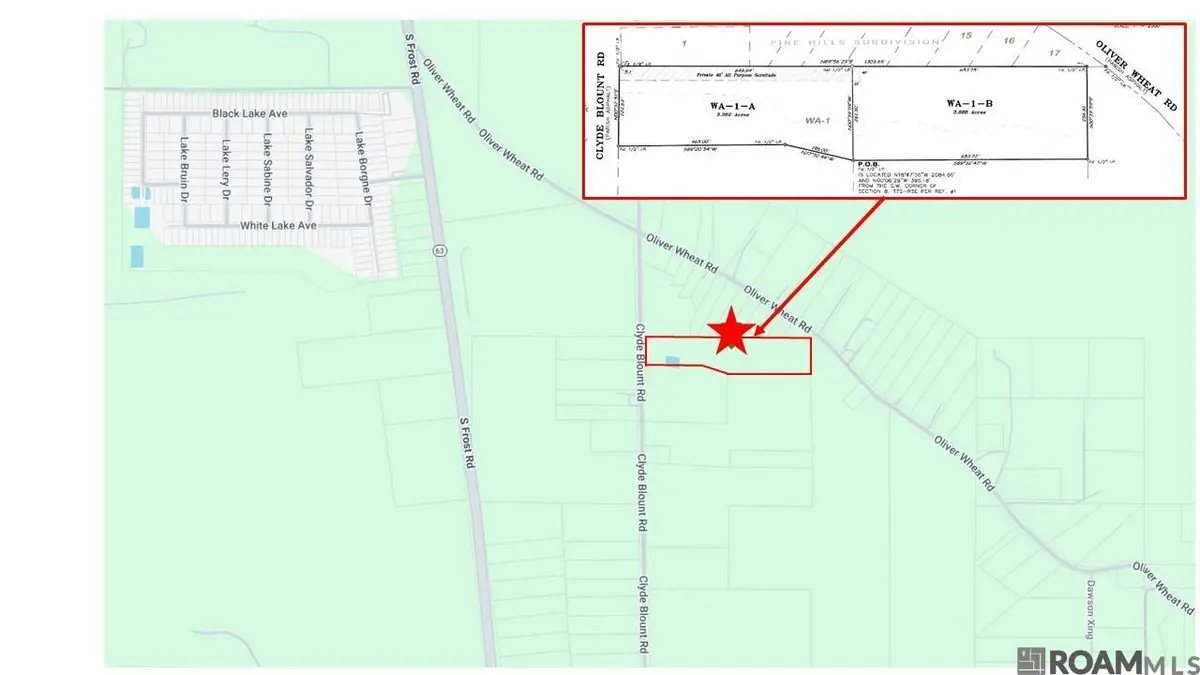 26430 Clyde Blount Rd, Livingston, LA 70754 - #1