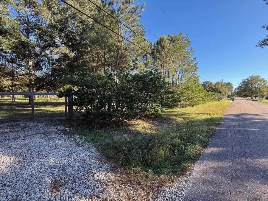 26430 Clyde Blount Rd, Livingston, LA 70754 - #3