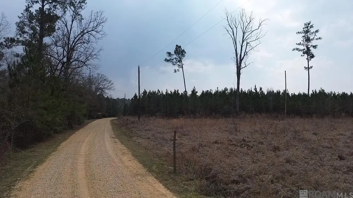 Tract 1A Teal Mcdaniel Rd, Greensburg, LA 70441 - #1