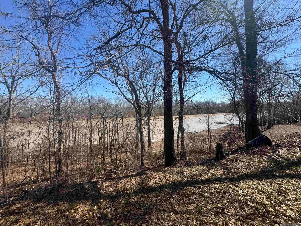 576 Elam Turner Road, Clayton, LA 71326 - #1