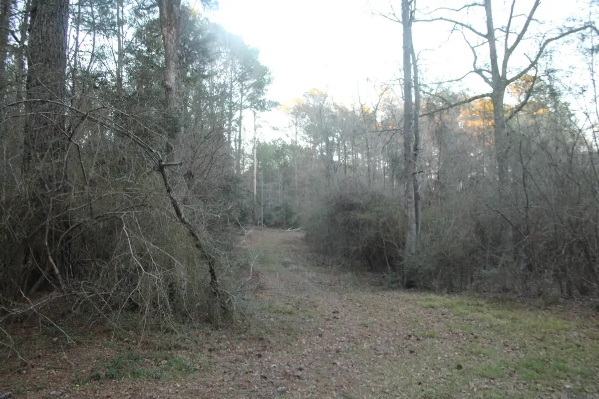 TBD Odeal Williams Ln, Ethel, LA 70730 - #1