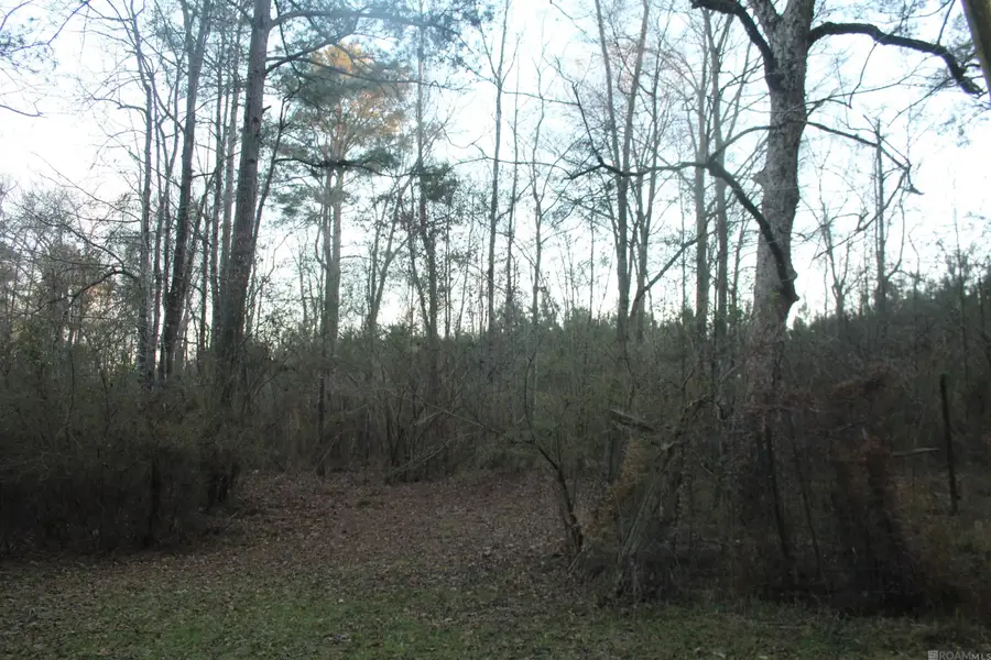 TBD Odeal Williams Ln, Ethel, LA 70730 - #2