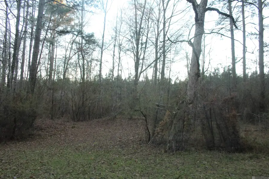 TBD Odeal Williams Ln, Ethel, LA 70730 - #3