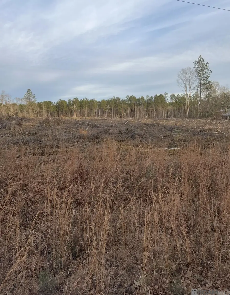 Lot B-6 Mack Ln, Clinton, LA 70722 - #2