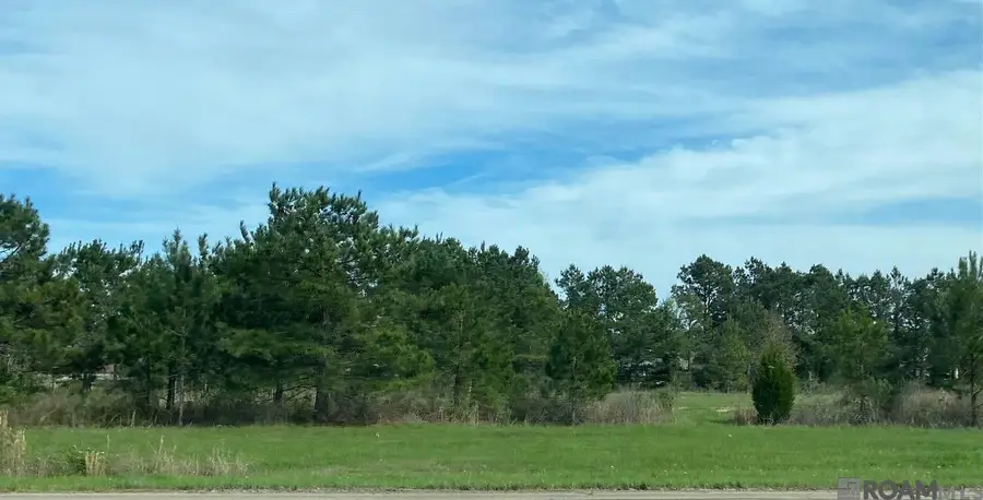 32816 La Hwy 16, Denham Springs, LA 70706 - #2