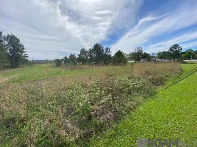 32816 La Hwy 16, Denham Springs, LA 70706 - #3