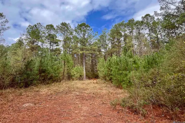 01 Hinton Rd, Gloster, MS 39638