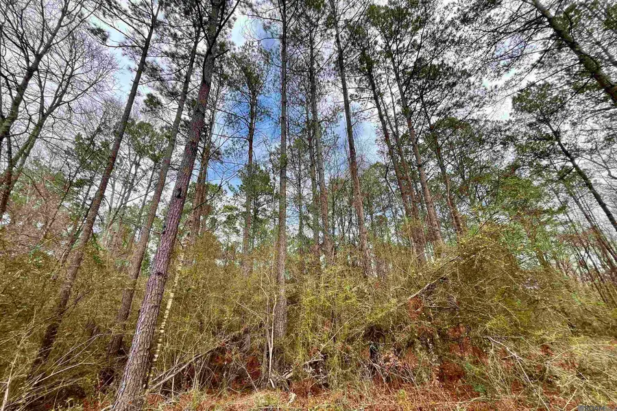 01 Hinton Rd, Gloster, MS 39638 - #2