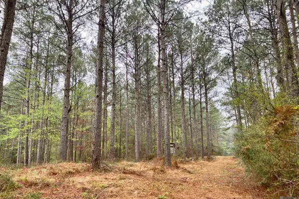 02 Hinton Rd, Gloster, MS 39638