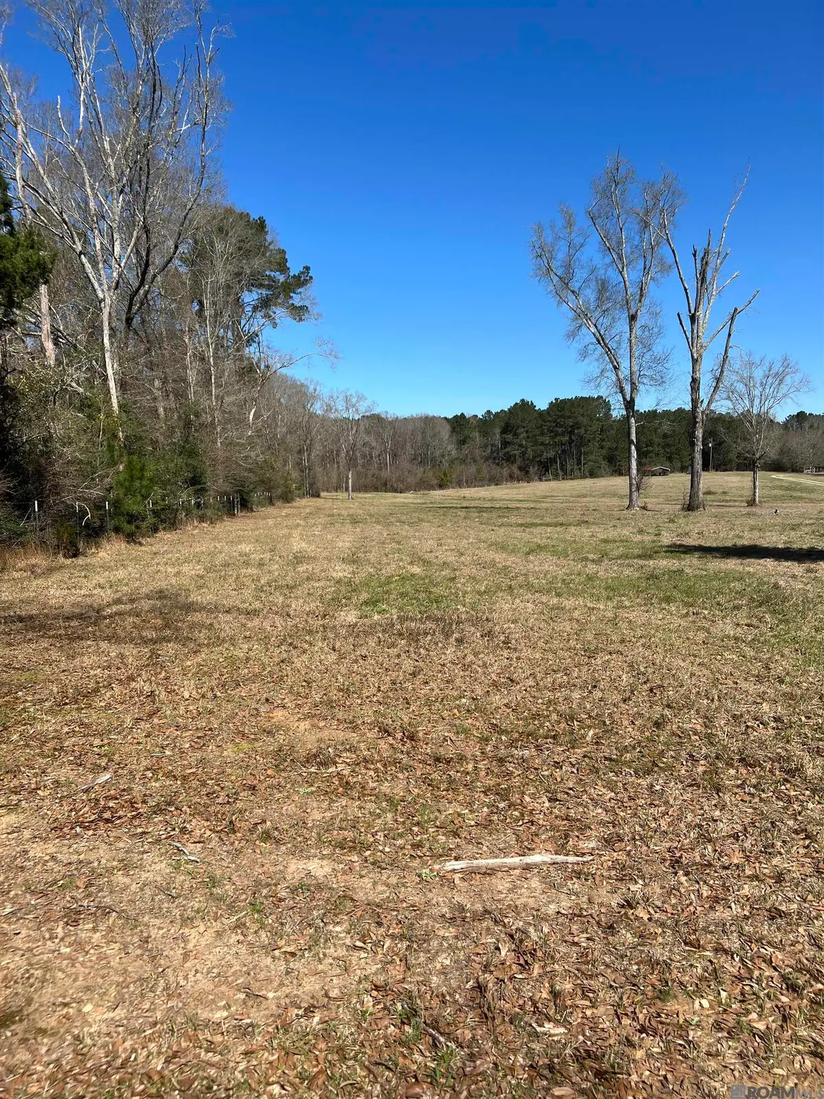 Lot 2-A-1 Andrews Ln, Clinton, LA 70722 - #1
