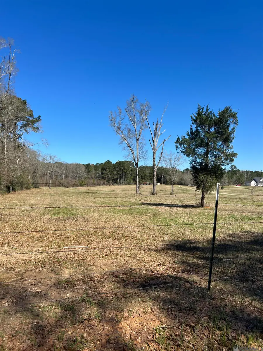 Lot 2-A-1 Andrews Ln, Clinton, LA 70722 - #2
