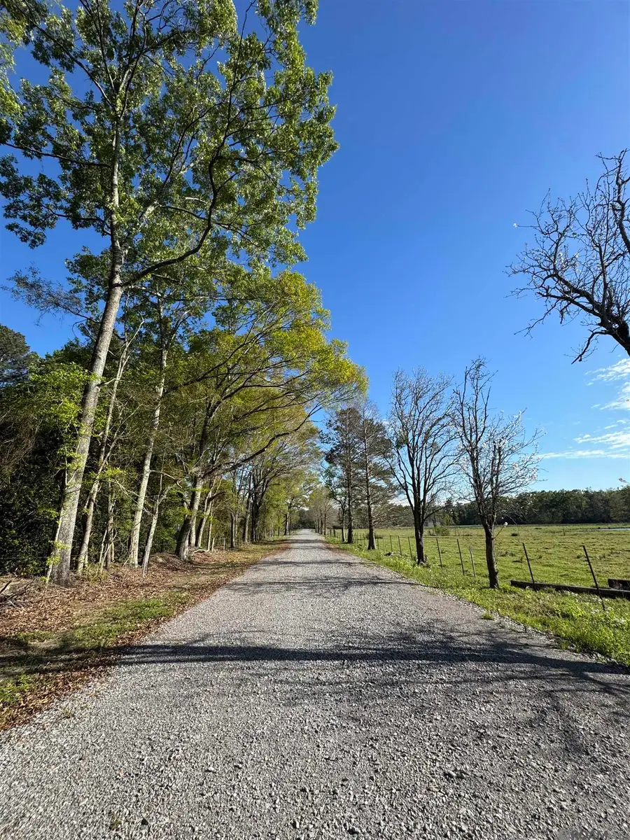 14500 Greensboro Dr, Greenwell Springs, LA 70739 - #3