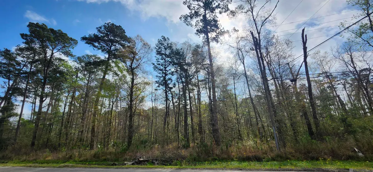 37316 Reinninger Rd, Denham Springs, LA 70706 - #1