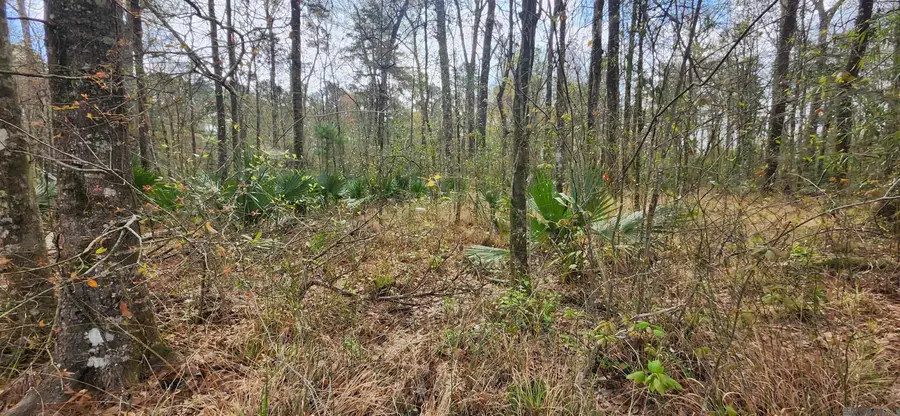 37316 Reinninger Rd, Denham Springs, LA 70706 - #2