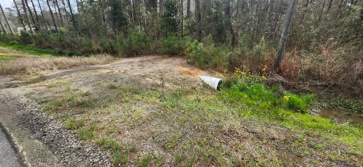 37344 Reinninger Rd, Denham Springs, LA 70706 - #1