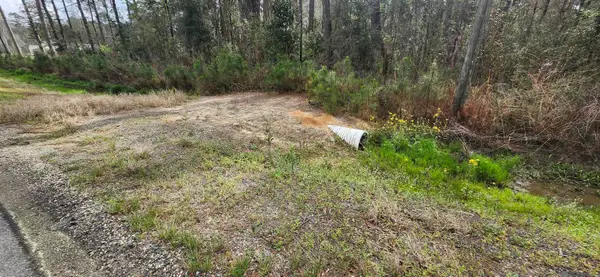 Tract A-6 Reinninger Rd, Denham Springs, LA 70706