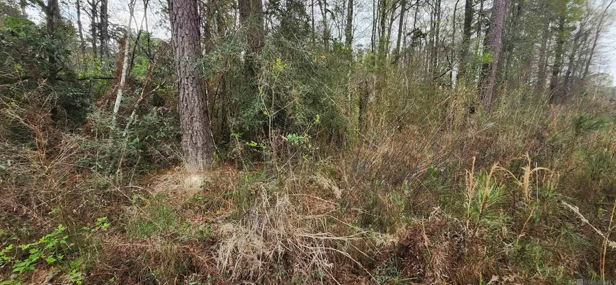 37344 Reinninger Rd, Denham Springs, LA 70706 - #2