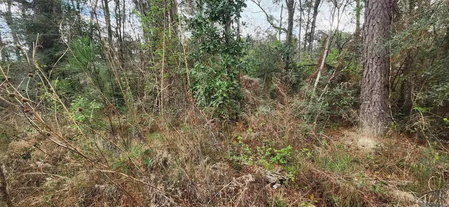 37344 Reinninger Rd, Denham Springs, LA 70706 - #3