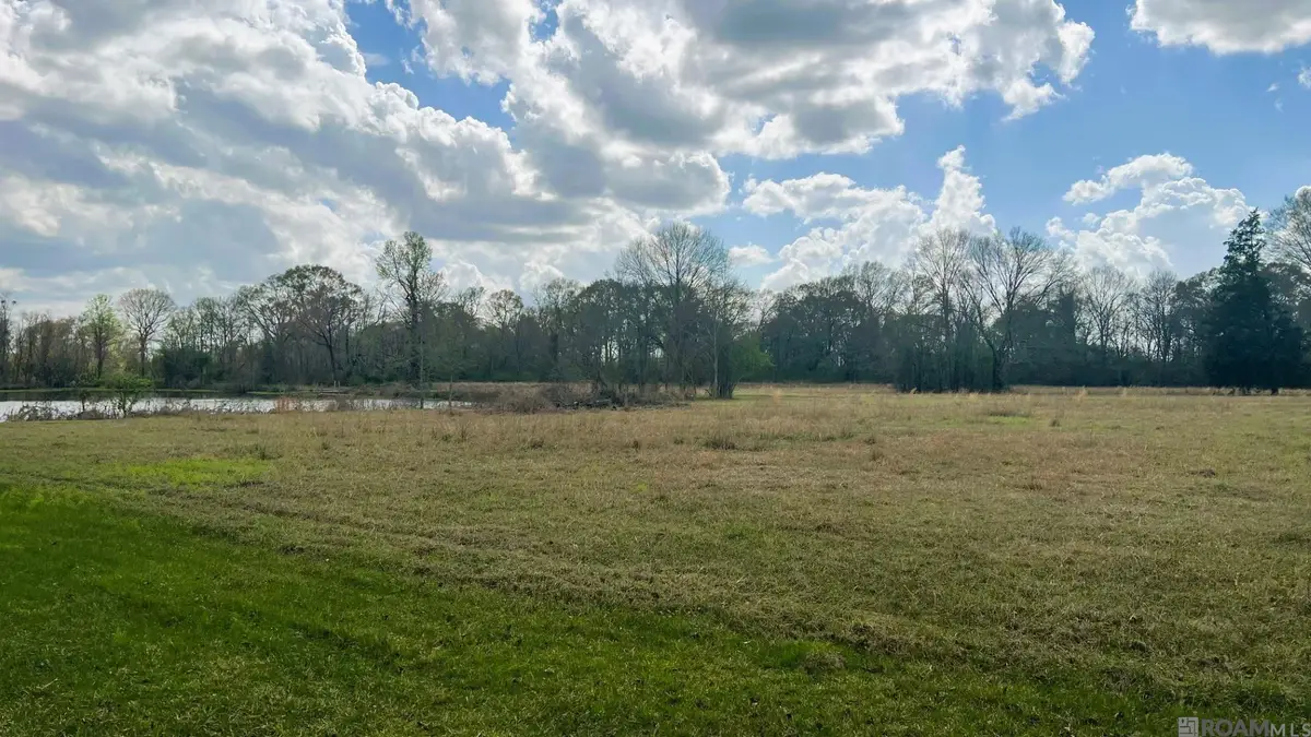 TBD Maglone Ln, Slaughter, LA 70777 - #1