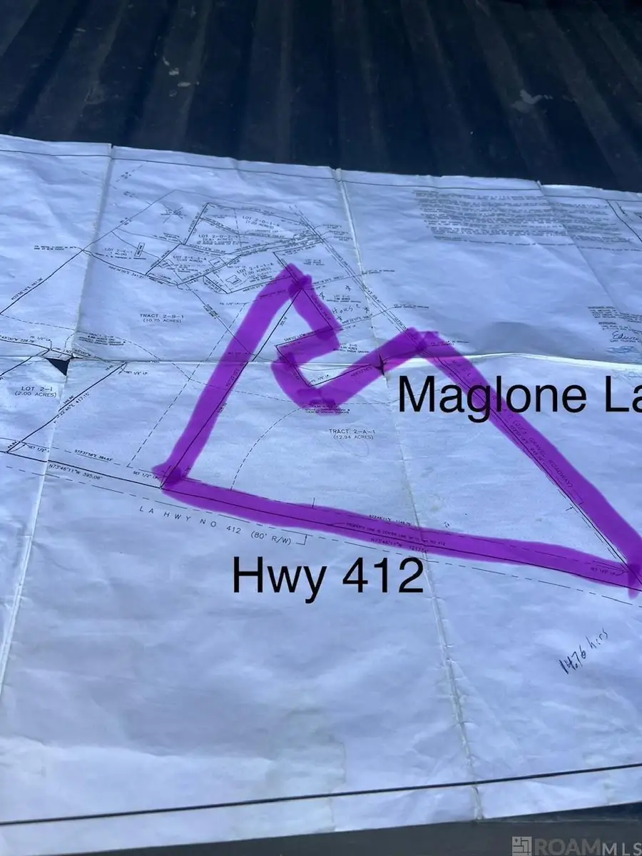 TBD Maglone Ln, Slaughter, LA 70777 - #3