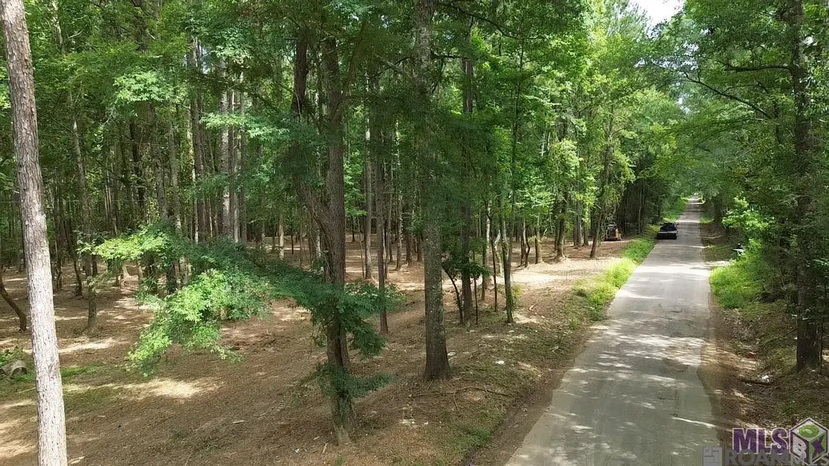 Tract X-1 Scott Barr Rd, Slaughter, LA 70777 - #1