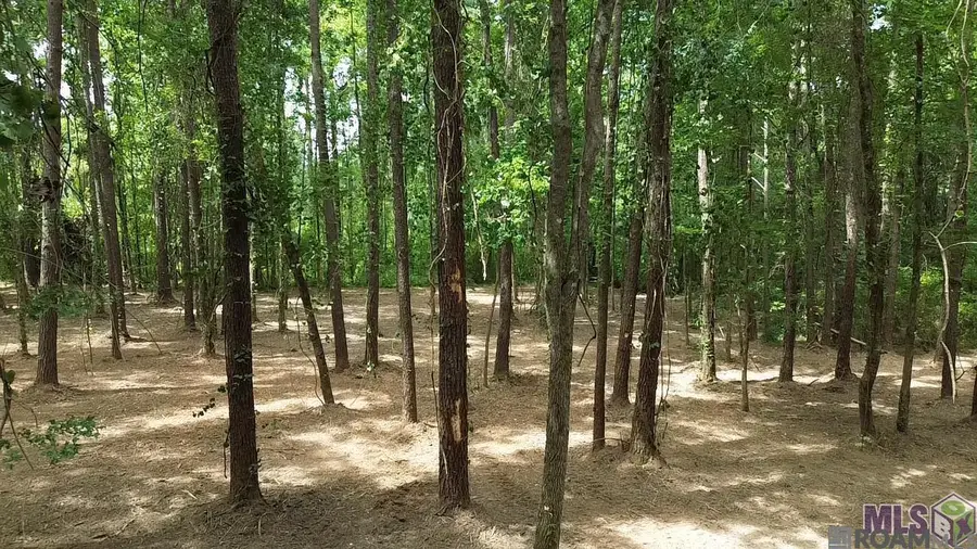 Tract X-1 Scott Barr Rd, Slaughter, LA 70777 - #3