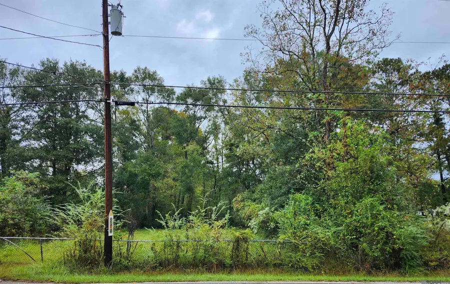 413 Edgewood Dr, Denham Springs, LA 70726 - #3